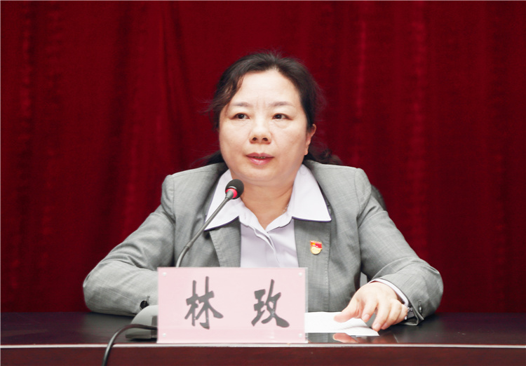 党委副书记、中心主任林玫作学习动员讲话.jpg
