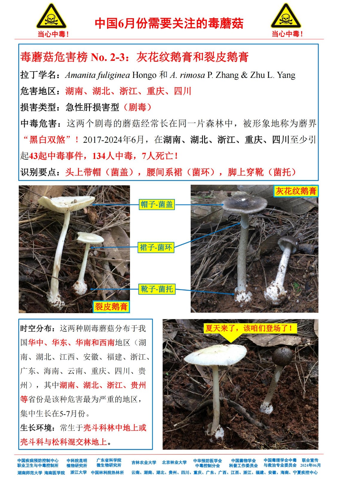 6月份需要关注的毒蘑菇_01.jpg
