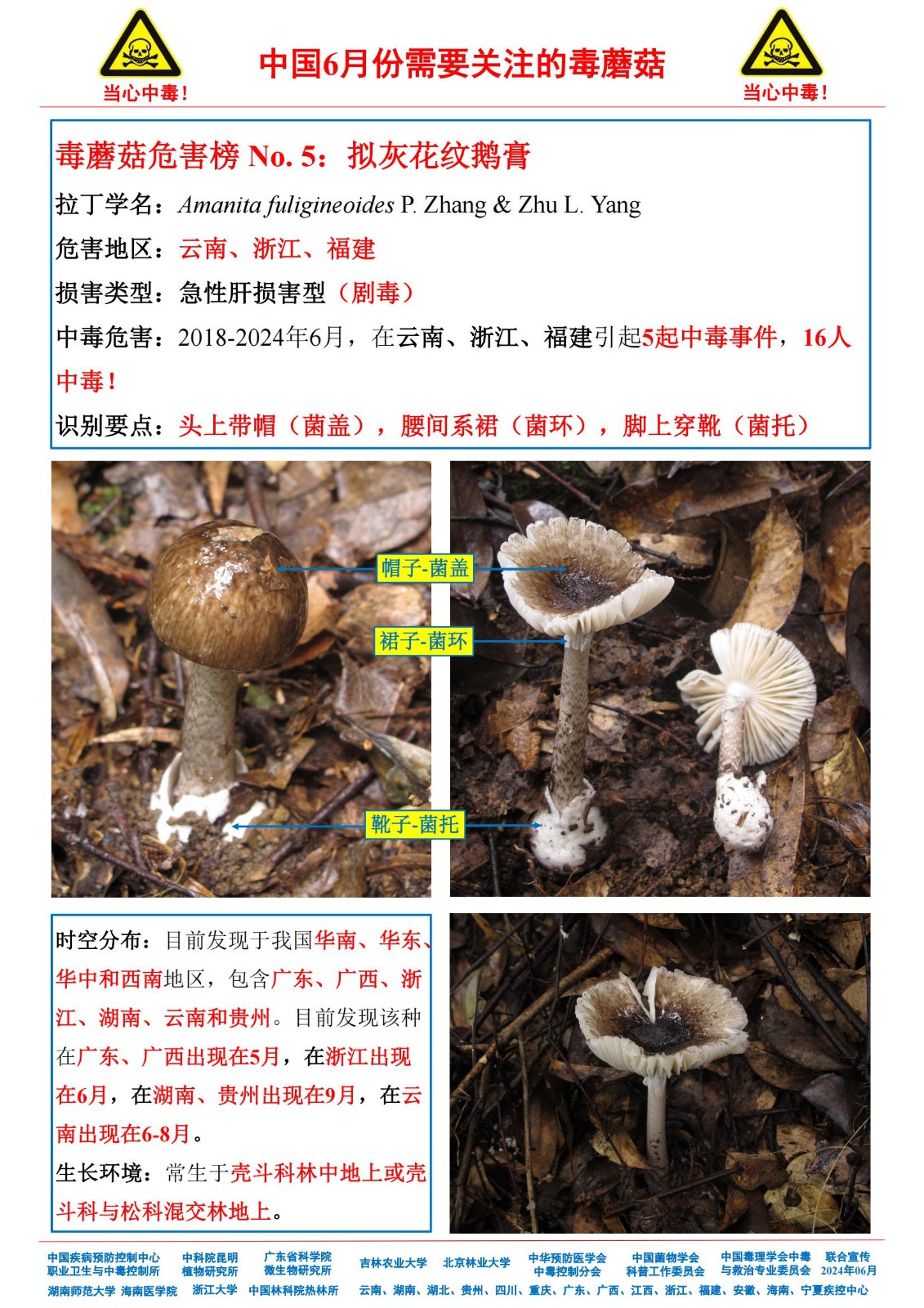 6月份需要关注的毒蘑菇_03.jpg