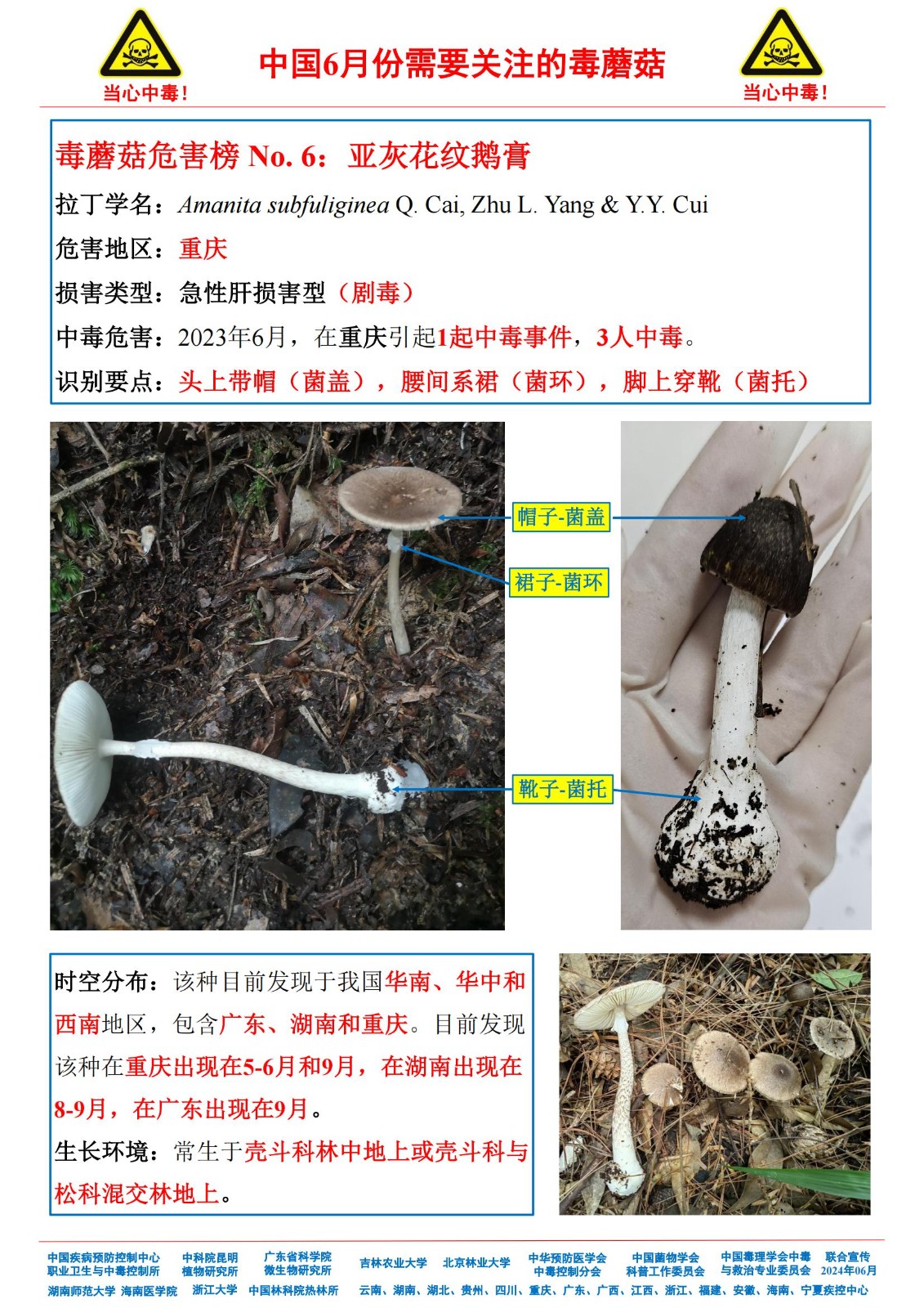 6月份需要关注的毒蘑菇_04.jpg