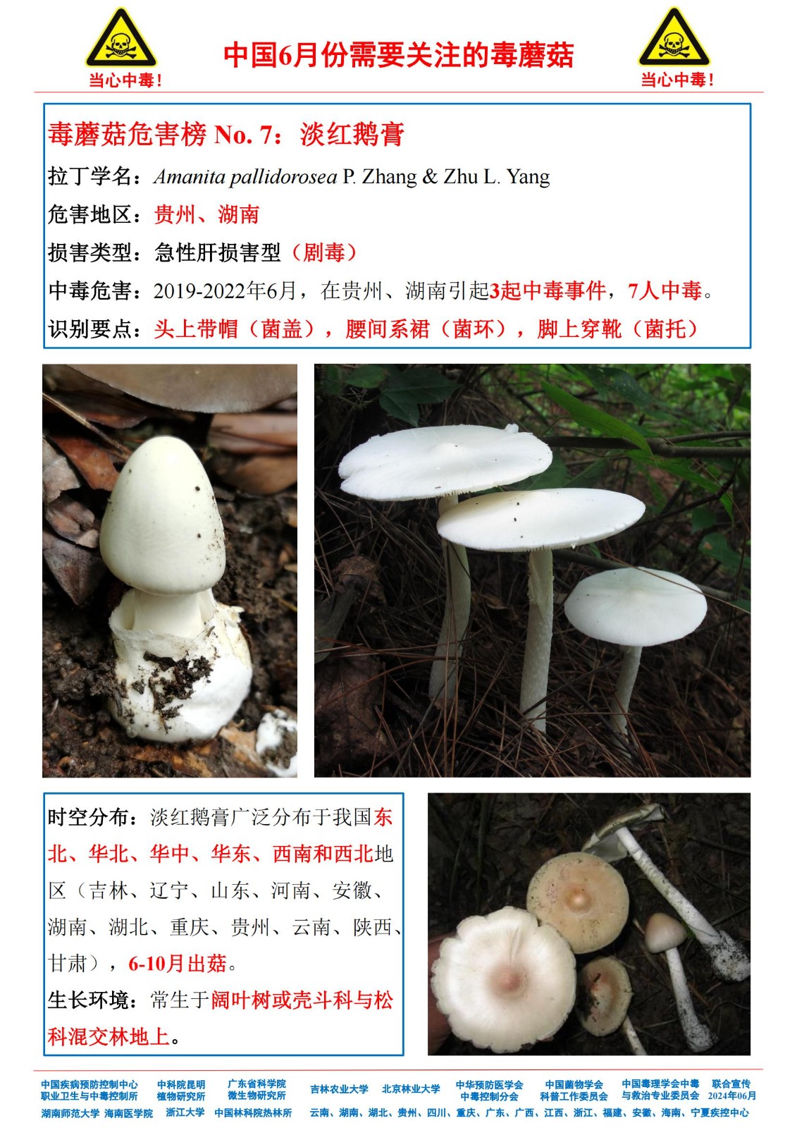 6月份需要关注的毒蘑菇_05.jpg