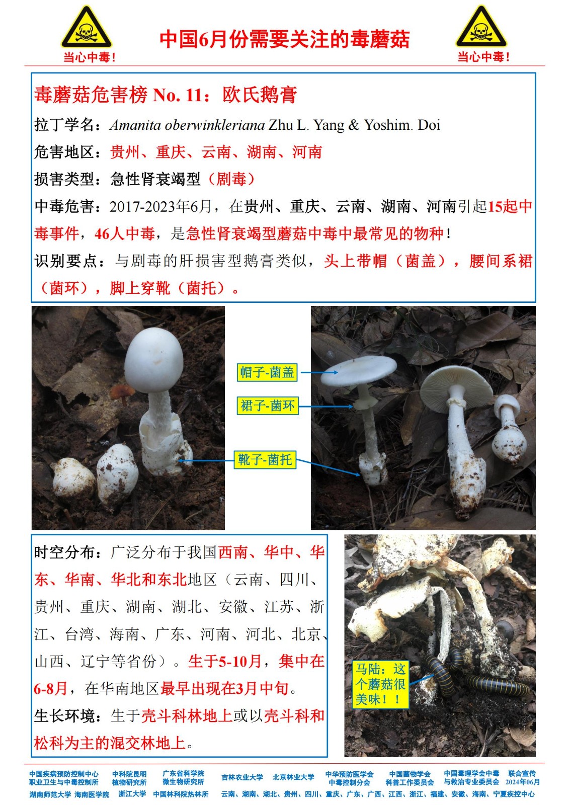 6月份需要关注的毒蘑菇_09.jpg