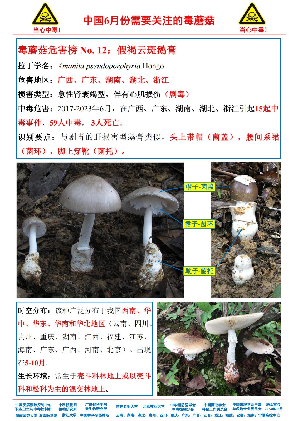 6月份需要关注的毒蘑菇_10.jpg