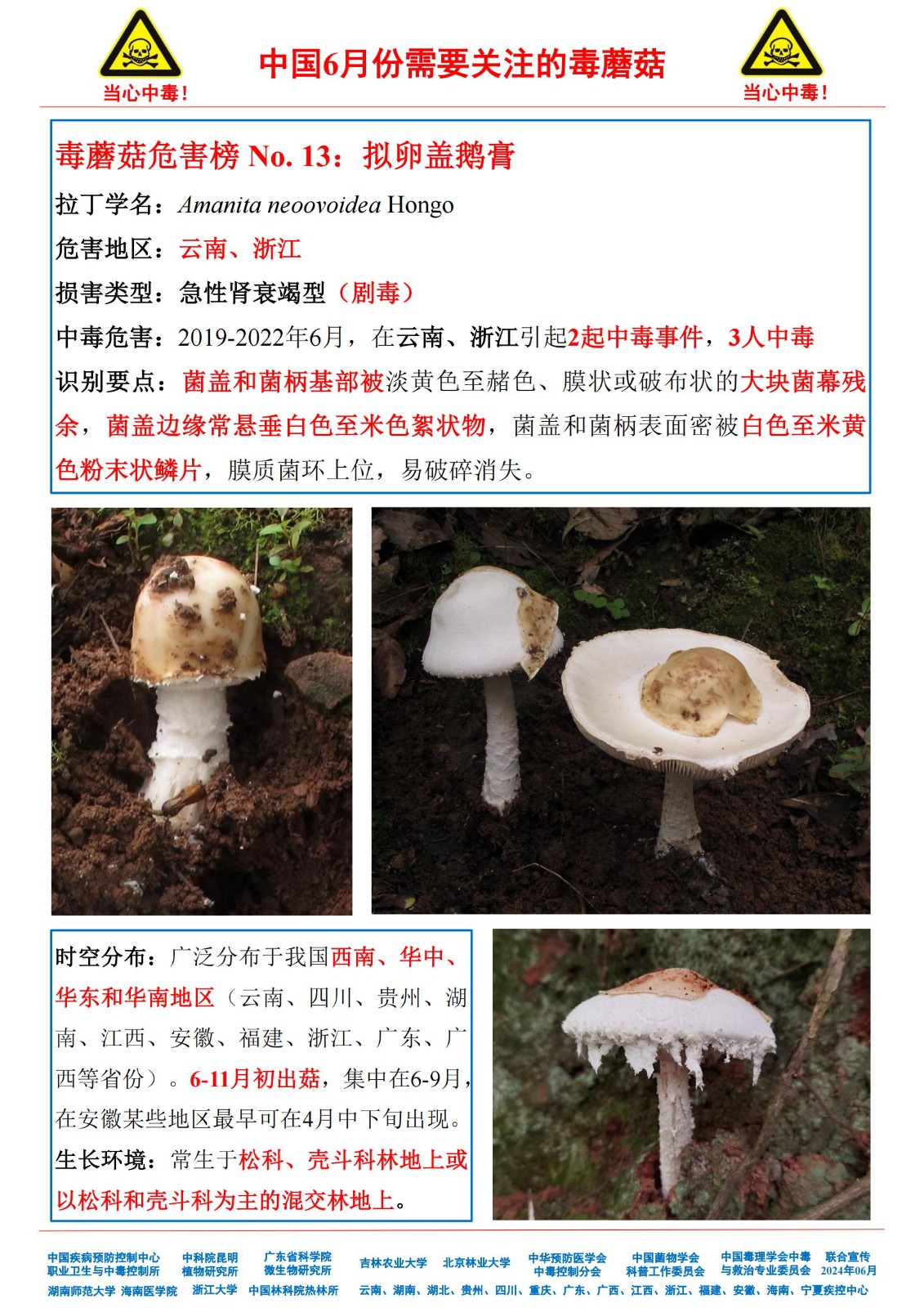 6月份需要关注的毒蘑菇_11.jpg