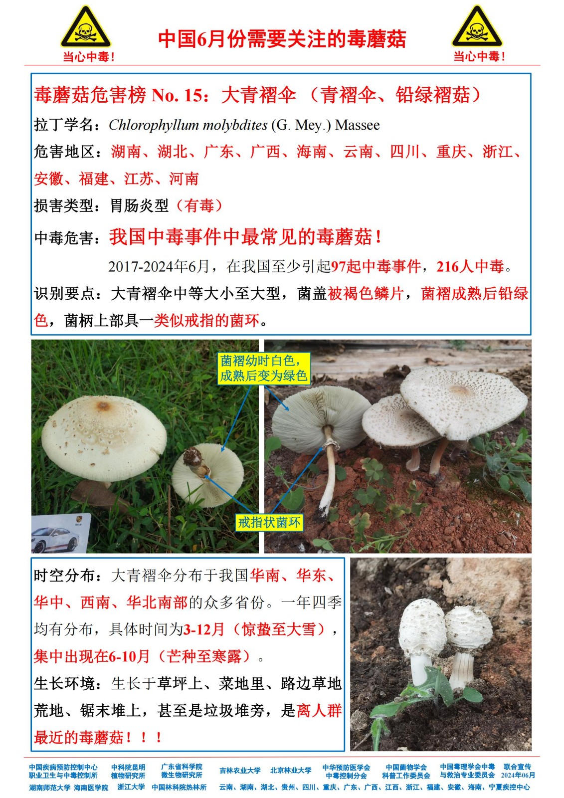 6月份需要关注的毒蘑菇_13.jpg
