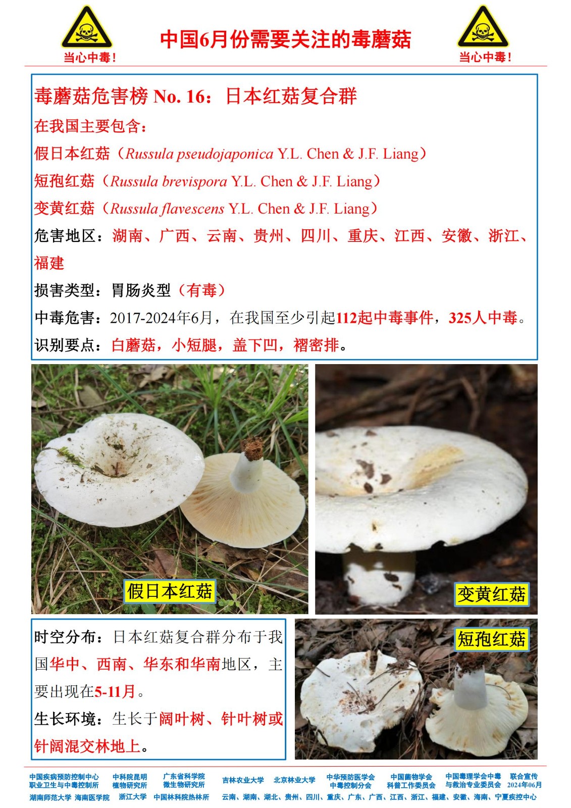 6月份需要关注的毒蘑菇_14.jpg
