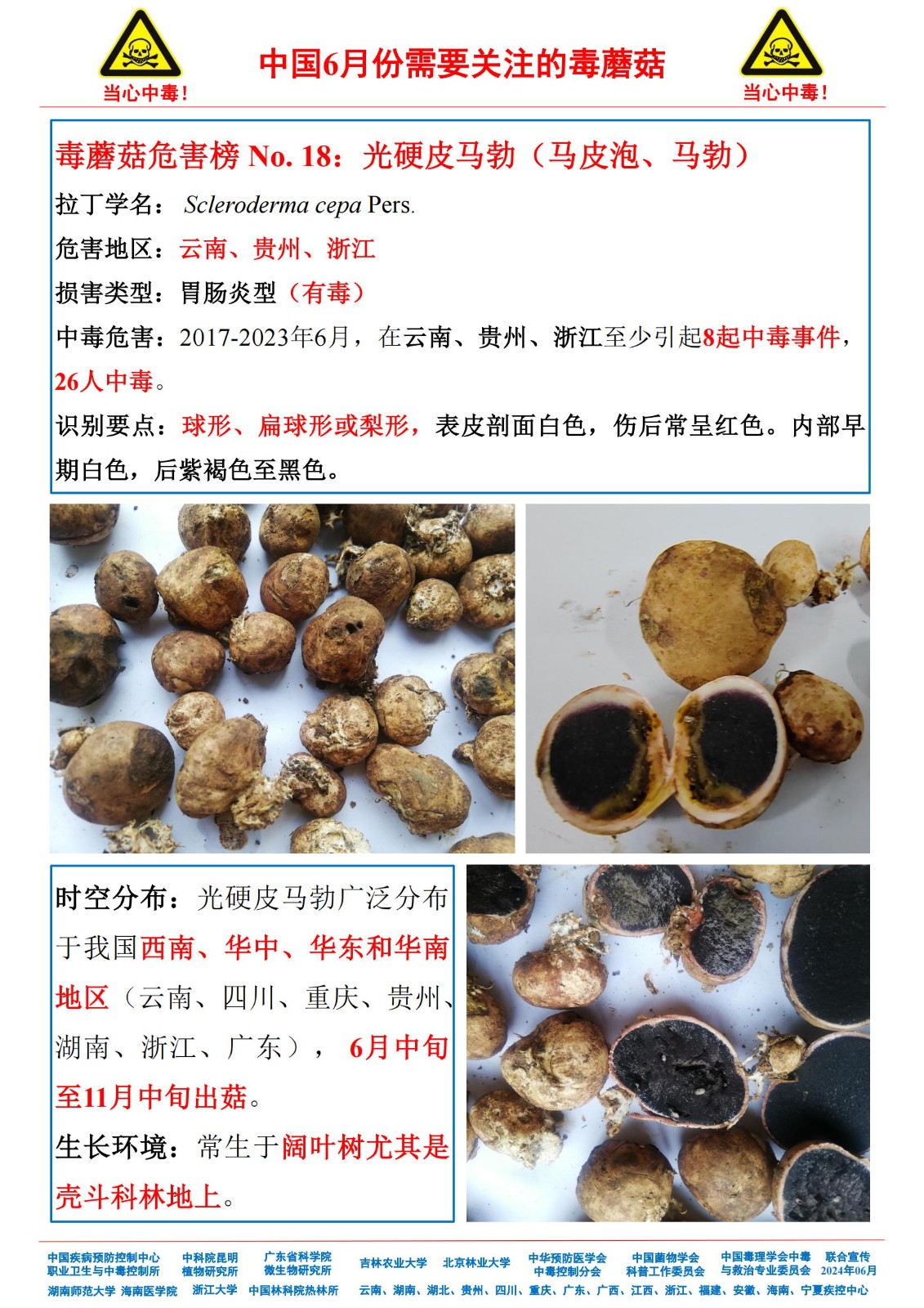 6月份需要关注的毒蘑菇_16.jpg