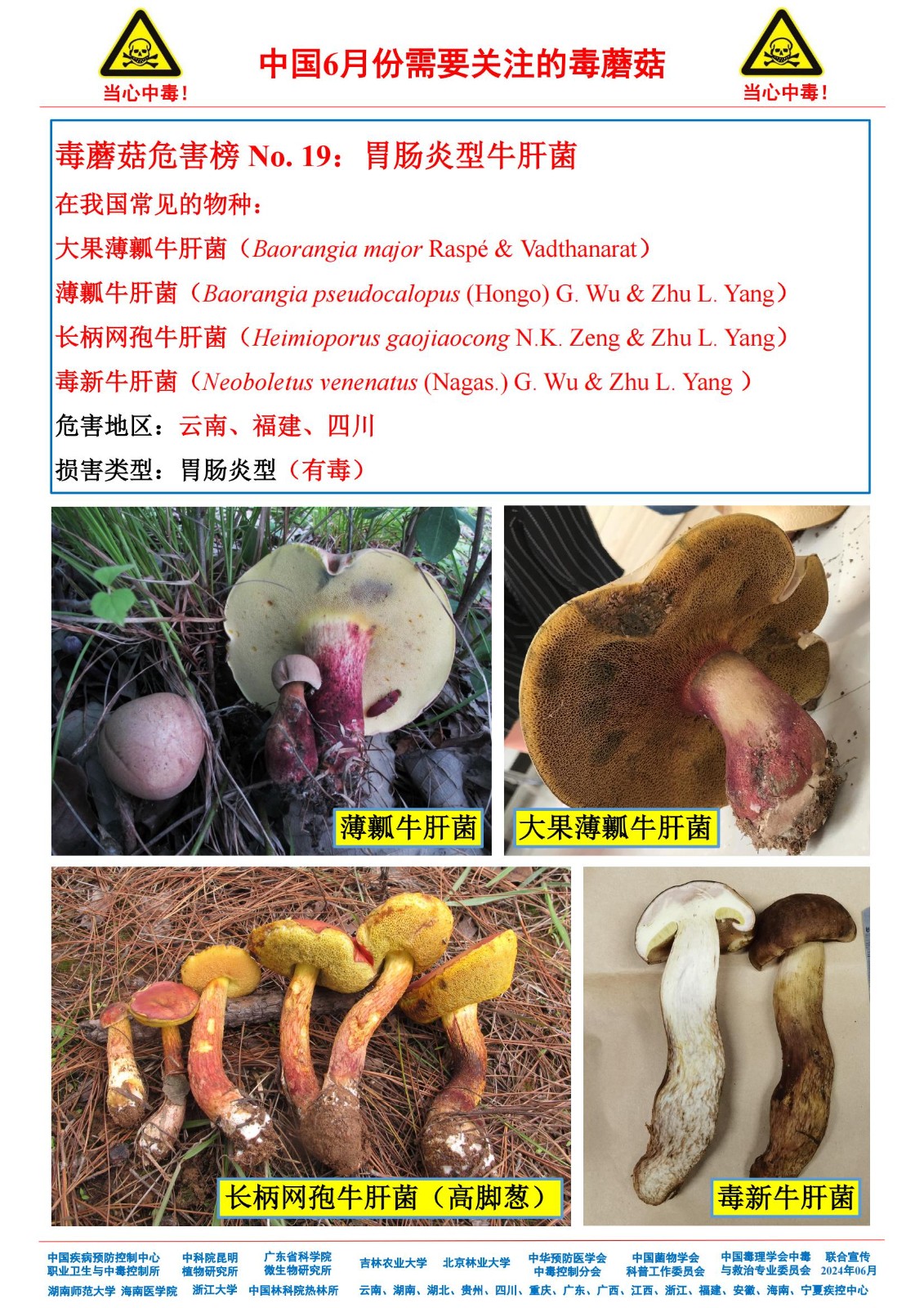 6月份需要关注的毒蘑菇_17.jpg