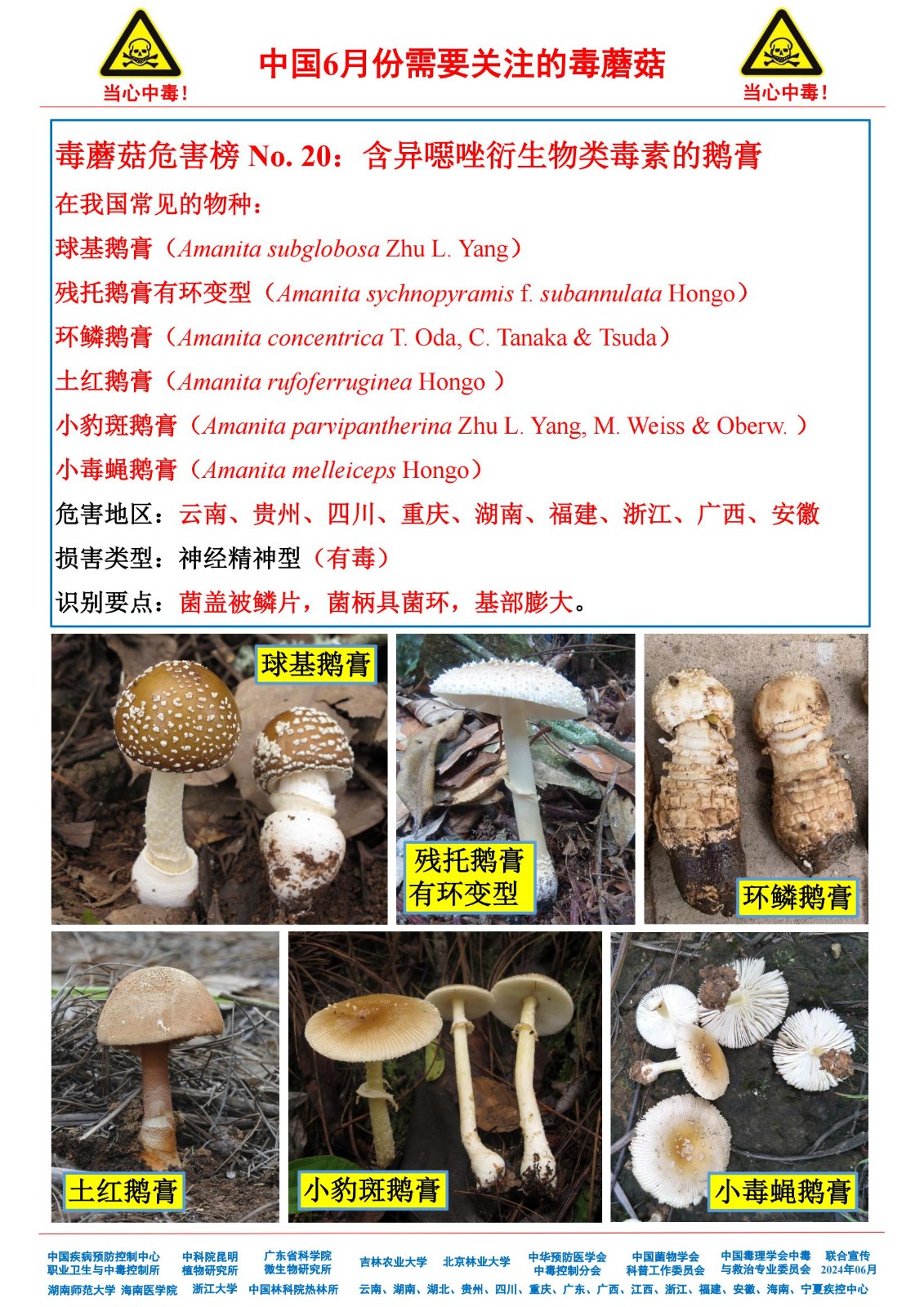 6月份需要关注的毒蘑菇_18.jpg