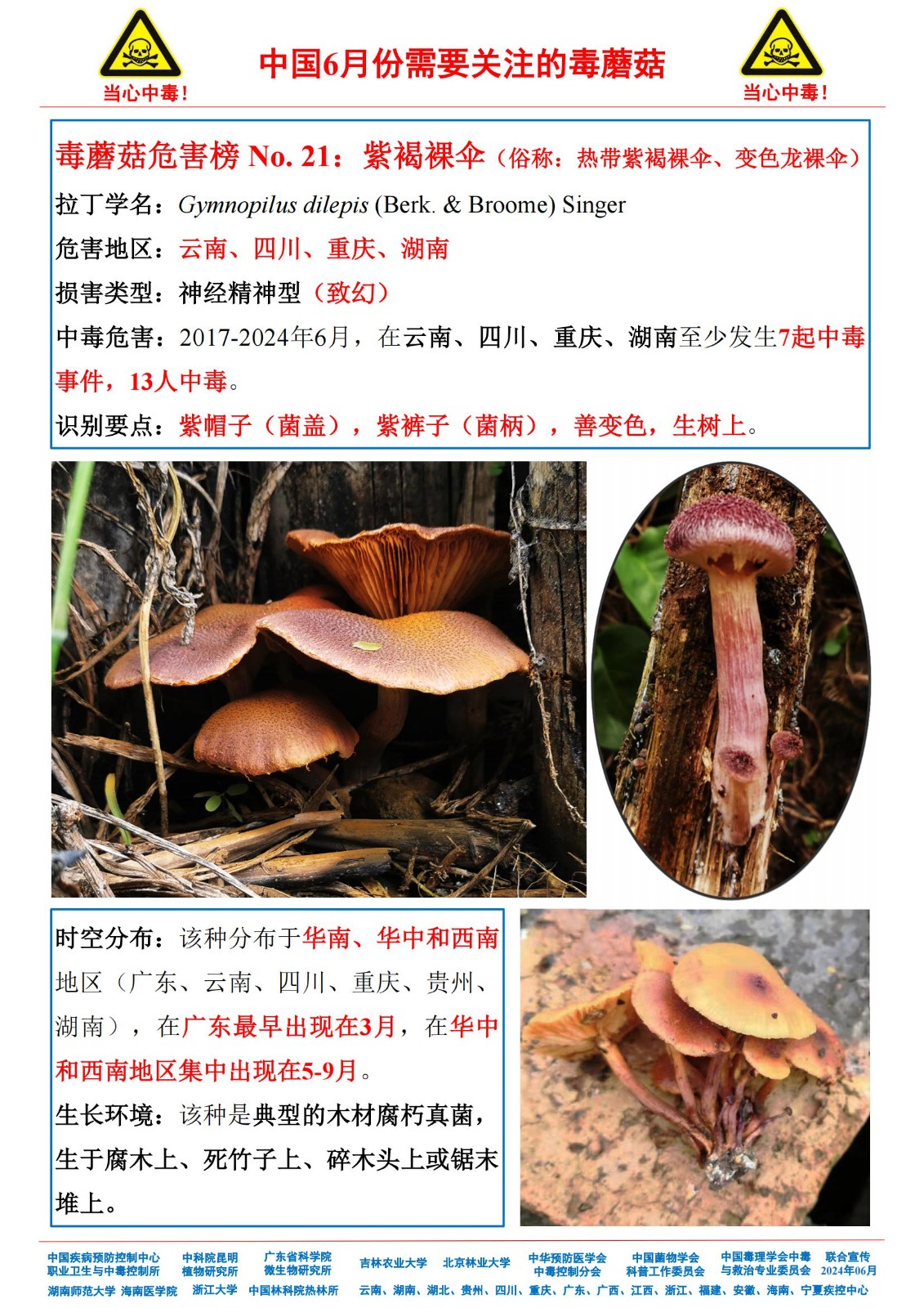 6月份需要关注的毒蘑菇_19.jpg