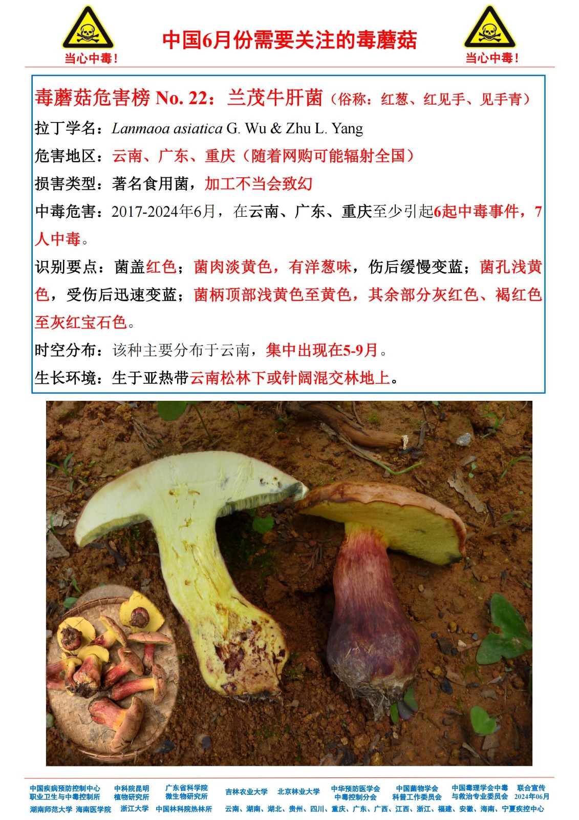 6月份需要关注的毒蘑菇_20.jpg