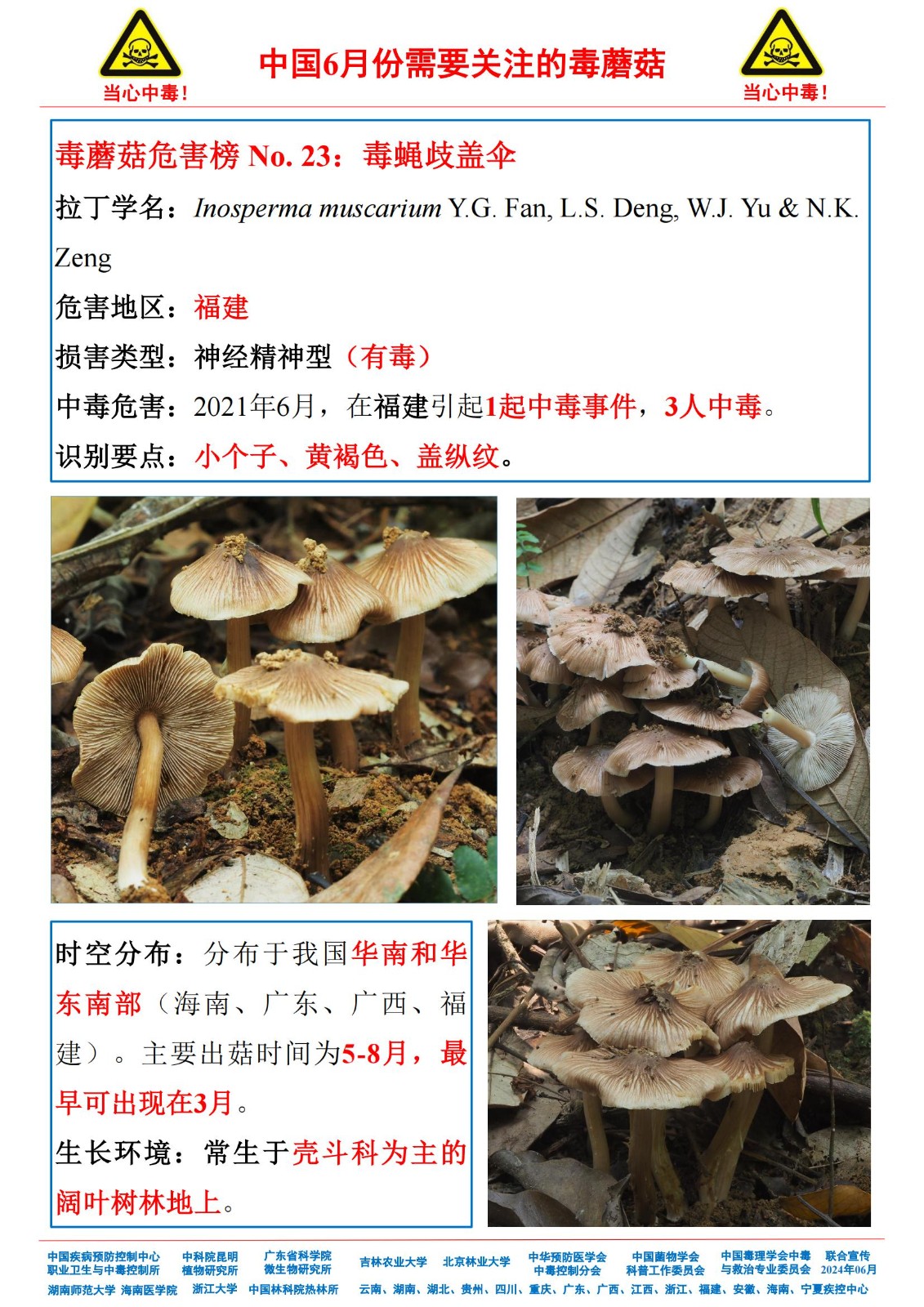 6月份需要关注的毒蘑菇_21.jpg