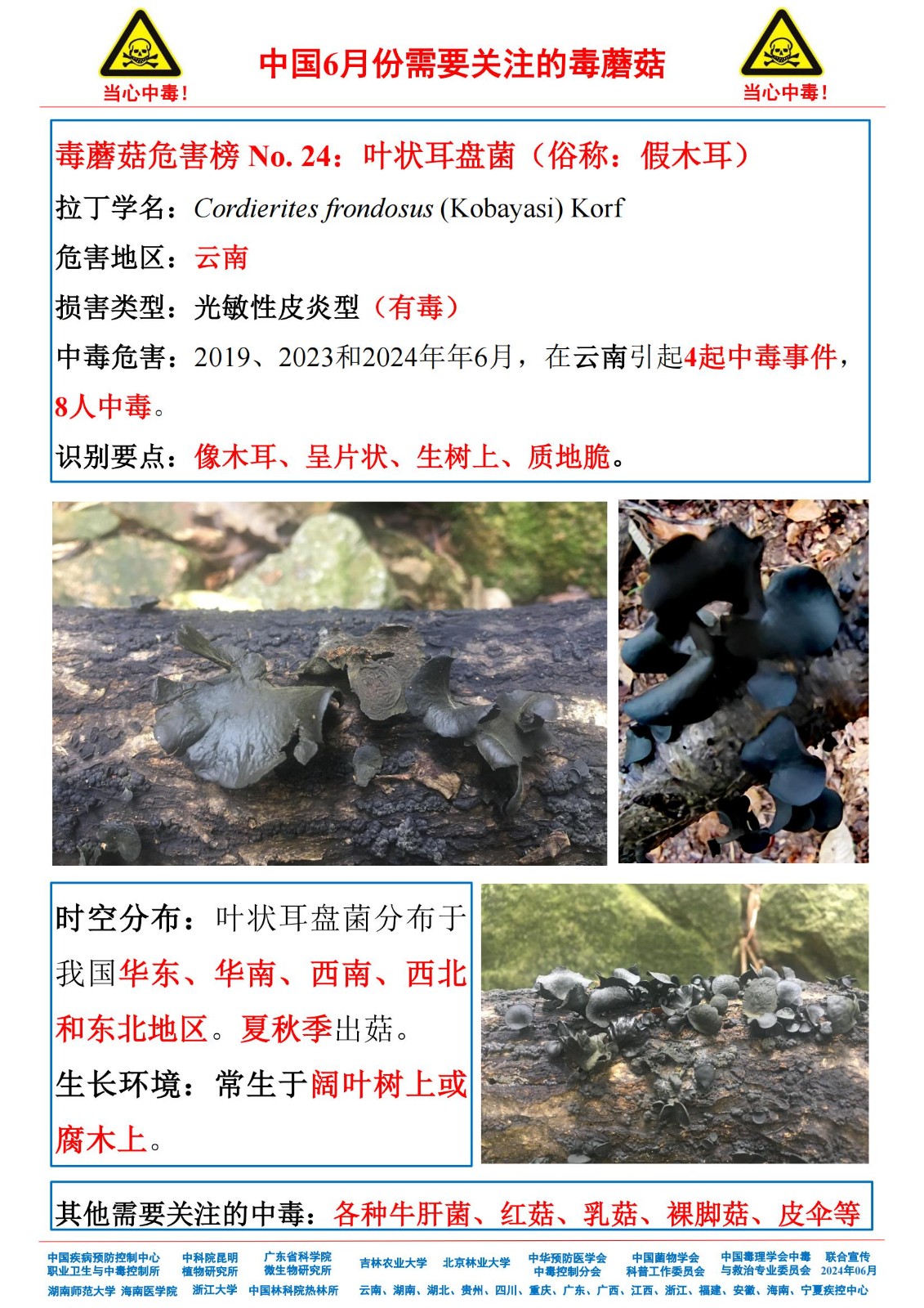 6月份需要关注的毒蘑菇_22.jpg