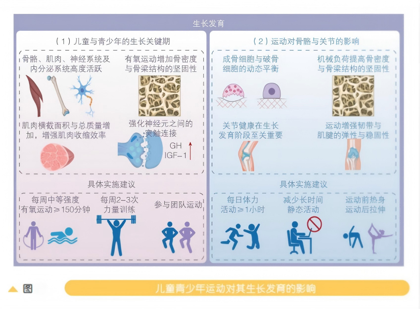 营养周系列（七2(1).png